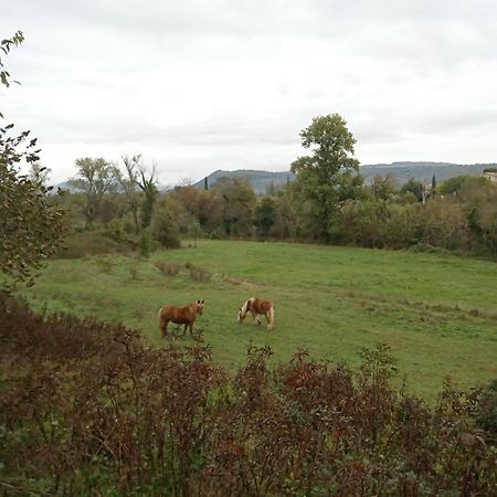 Maison Sud Ardeche Lavilledieu Lavilledieu  Dış mekan fotoğraf